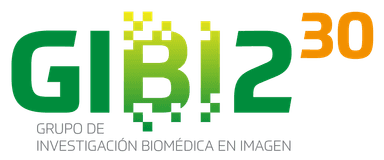 GIBI230 · Grupo de Investigación Biomédica en Imagen